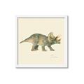 Picture of Triceratops _GroupedProduct_Square_Mini_ _GroupedProduct_Square_Framed_Matted_