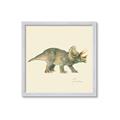 Picture of Triceratops _GroupedProduct_Square_Mini_ _GroupedProduct_Square_Framed_Matted_