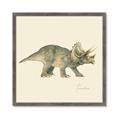 Picture of Triceratops _GroupedProduct_Square_Mini_ _GroupedProduct_Square_Framed_Matted_