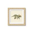 Picture of Triceratops _GroupedProduct_Square_Mini_ _GroupedProduct_Square_Framed_Matted_