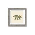 Picture of Triceratops _GroupedProduct_Square_Mini_ _GroupedProduct_Square_Framed_Matted_