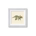 Picture of Triceratops _GroupedProduct_Square_Mini_ _GroupedProduct_Square_Framed_Matted_