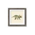 Picture of Triceratops _GroupedProduct_Square_Mini_ _GroupedProduct_Square_Framed_Matted_