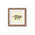 Picture of Triceratops _GroupedProduct_Square_Mini_ _GroupedProduct_Square_Framed_Matted_