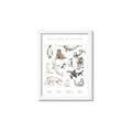 Picture of Cute Wild Animals II _GroupedProduct_Rectangle_Portrait_Mini_ _GroupedProduct_Rectangle_Portrait_Framed_Matted_