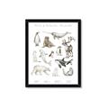 Picture of Cute Wild Animals II _GroupedProduct_Rectangle_Portrait_Mini_ _GroupedProduct_Rectangle_Portrait_Framed_Matted_