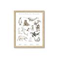 Picture of Cute Wild Animals II _GroupedProduct_Rectangle_Portrait_Mini_ _GroupedProduct_Rectangle_Portrait_Framed_Matted_