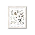 Picture of Cute Wild Animals II _GroupedProduct_Rectangle_Portrait_Mini_ _GroupedProduct_Rectangle_Portrait_Framed_Matted_