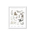 Picture of Cute Wild Animals II _GroupedProduct_Rectangle_Portrait_Mini_ _GroupedProduct_Rectangle_Portrait_Framed_Matted_