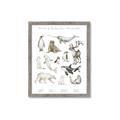 Picture of Cute Wild Animals II _GroupedProduct_Rectangle_Portrait_Mini_ _GroupedProduct_Rectangle_Portrait_Framed_Matted_