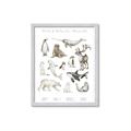 Picture of Cute Wild Animals II _GroupedProduct_Rectangle_Portrait_Mini_ _GroupedProduct_Rectangle_Portrait_Framed_Matted_