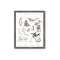 Picture of Cute Wild Animals II _GroupedProduct_Rectangle_Portrait_Mini_ _GroupedProduct_Rectangle_Portrait_Framed_Matted_