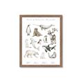 Picture of Cute Wild Animals II _GroupedProduct_Rectangle_Portrait_Mini_ _GroupedProduct_Rectangle_Portrait_Framed_Matted_