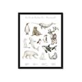 Picture of Cute Wild Animals II _GroupedProduct_Rectangle_Portrait_Mini_ _GroupedProduct_Rectangle_Portrait_Framed_Matted_