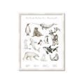 Picture of Cute Wild Animals II _GroupedProduct_Rectangle_Portrait_Mini_ _GroupedProduct_Rectangle_Portrait_Framed_Matted_