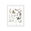 Picture of Cute Wild Animals II _GroupedProduct_Rectangle_Portrait_Mini_ _GroupedProduct_Rectangle_Portrait_Framed_Matted_