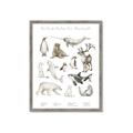 Picture of Cute Wild Animals II _GroupedProduct_Rectangle_Portrait_Mini_ _GroupedProduct_Rectangle_Portrait_Framed_Matted_