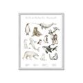Picture of Cute Wild Animals II _GroupedProduct_Rectangle_Portrait_Mini_ _GroupedProduct_Rectangle_Portrait_Framed_Matted_
