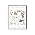 Picture of Cute Wild Animals II _GroupedProduct_Rectangle_Portrait_Mini_ _GroupedProduct_Rectangle_Portrait_Framed_Matted_