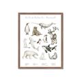 Picture of Cute Wild Animals II _GroupedProduct_Rectangle_Portrait_Mini_ _GroupedProduct_Rectangle_Portrait_Framed_Matted_