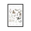 Picture of Cute Wild Animals II _GroupedProduct_Rectangle_Portrait_Mini_ _GroupedProduct_Rectangle_Portrait_Framed_Matted_