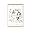 Picture of Cute Wild Animals II _GroupedProduct_Rectangle_Portrait_Mini_ _GroupedProduct_Rectangle_Portrait_Framed_Matted_
