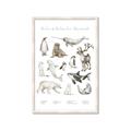 Picture of Cute Wild Animals II _GroupedProduct_Rectangle_Portrait_Mini_ _GroupedProduct_Rectangle_Portrait_Framed_Matted_