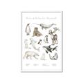 Picture of Cute Wild Animals II _GroupedProduct_Rectangle_Portrait_Mini_ _GroupedProduct_Rectangle_Portrait_Framed_Matted_
