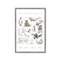 Picture of Cute Wild Animals II _GroupedProduct_Rectangle_Portrait_Mini_ _GroupedProduct_Rectangle_Portrait_Framed_Matted_