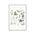 Picture of Cute Wild Animals II _GroupedProduct_Rectangle_Portrait_Mini_ _GroupedProduct_Rectangle_Portrait_Framed_Matted_