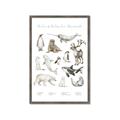 Picture of Cute Wild Animals II _GroupedProduct_Rectangle_Portrait_Mini_ _GroupedProduct_Rectangle_Portrait_Framed_Matted_