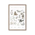 Picture of Cute Wild Animals II _GroupedProduct_Rectangle_Portrait_Mini_ _GroupedProduct_Rectangle_Portrait_Framed_Matted_