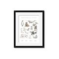 Picture of Cute Wild Animals II _GroupedProduct_Rectangle_Portrait_Mini_ _GroupedProduct_Rectangle_Portrait_Framed_Matted_