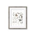 Picture of Cute Wild Animals II _GroupedProduct_Rectangle_Portrait_Mini_ _GroupedProduct_Rectangle_Portrait_Framed_Matted_