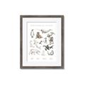 Picture of Cute Wild Animals II _GroupedProduct_Rectangle_Portrait_Mini_ _GroupedProduct_Rectangle_Portrait_Framed_Matted_
