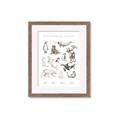 Picture of Cute Wild Animals II _GroupedProduct_Rectangle_Portrait_Mini_ _GroupedProduct_Rectangle_Portrait_Framed_Matted_