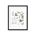 Picture of Cute Wild Animals II _GroupedProduct_Rectangle_Portrait_Mini_ _GroupedProduct_Rectangle_Portrait_Framed_Matted_