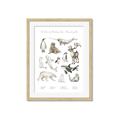 Picture of Cute Wild Animals II _GroupedProduct_Rectangle_Portrait_Mini_ _GroupedProduct_Rectangle_Portrait_Framed_Matted_