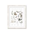 Picture of Cute Wild Animals II _GroupedProduct_Rectangle_Portrait_Mini_ _GroupedProduct_Rectangle_Portrait_Framed_Matted_