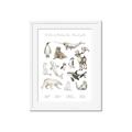 Picture of Cute Wild Animals II _GroupedProduct_Rectangle_Portrait_Mini_ _GroupedProduct_Rectangle_Portrait_Framed_Matted_