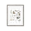 Picture of Cute Wild Animals II _GroupedProduct_Rectangle_Portrait_Mini_ _GroupedProduct_Rectangle_Portrait_Framed_Matted_