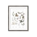 Picture of Cute Wild Animals II _GroupedProduct_Rectangle_Portrait_Mini_ _GroupedProduct_Rectangle_Portrait_Framed_Matted_
