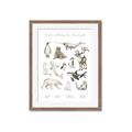 Picture of Cute Wild Animals II _GroupedProduct_Rectangle_Portrait_Mini_ _GroupedProduct_Rectangle_Portrait_Framed_Matted_