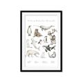 Picture of Cute Wild Animals II _GroupedProduct_Rectangle_Portrait_Mini_ _GroupedProduct_Rectangle_Portrait_Framed_Matted_