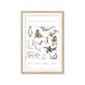 Picture of Cute Wild Animals II _GroupedProduct_Rectangle_Portrait_Mini_ _GroupedProduct_Rectangle_Portrait_Framed_Matted_