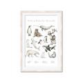 Picture of Cute Wild Animals II _GroupedProduct_Rectangle_Portrait_Mini_ _GroupedProduct_Rectangle_Portrait_Framed_Matted_