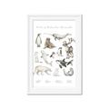 Picture of Cute Wild Animals II _GroupedProduct_Rectangle_Portrait_Mini_ _GroupedProduct_Rectangle_Portrait_Framed_Matted_