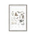 Picture of Cute Wild Animals II _GroupedProduct_Rectangle_Portrait_Mini_ _GroupedProduct_Rectangle_Portrait_Framed_Matted_