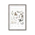 Picture of Cute Wild Animals II _GroupedProduct_Rectangle_Portrait_Mini_ _GroupedProduct_Rectangle_Portrait_Framed_Matted_