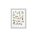 Picture of African wild animals I _GroupedProduct_Rectangle_Portrait_Mini_ _GroupedProduct_Rectangle_Portrait_Framed_Matted_